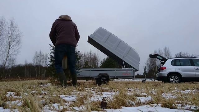 Cristmas Tree Without Damaging The Roots, как выкопать новогоднюю ёлочку неповредив корни