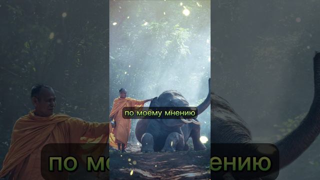 Тайный буддизм. Том III. Глубина Алмазной колесницы. смотреть онлайн