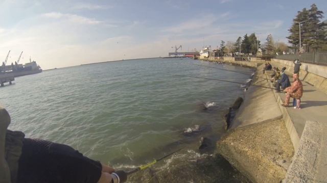 за кефалью с бомбардой! смотреть онлайн