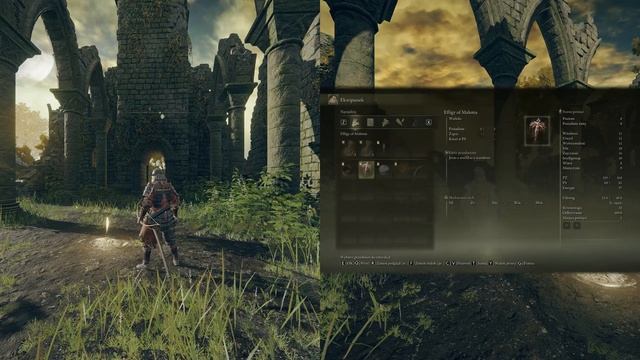 How to enable splitscreen mode in Elden Ring (single PC multiplayer)? смотреть онлайн