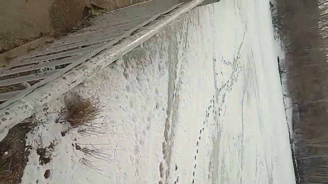 скоро на реке будет открытая вода, ждём летнюю рыбалку смотреть онлайн