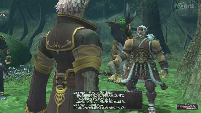 【Final Fantasy XI: Seekers of Adoulin】Section IV - 11 再生 смотреть онлайн