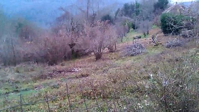Участок 13 соток ИЖС в с. Хлебороб (Хоста) смотреть онлайн