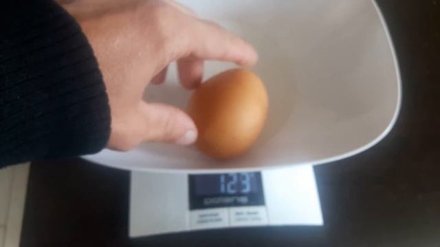 Курица сошла с ума!!! Яйцо весом 105 грамм. смотреть онлайн