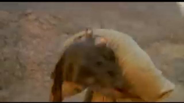 film Nabi Musa subtitle Indonesia смотреть онлайн