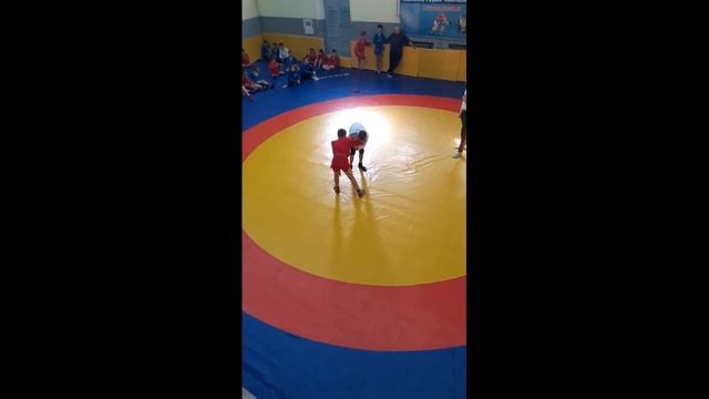 самбо соревнования чемпионат крыма смотреть онлайн