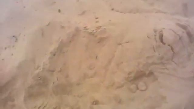 Звуки ада:D смотреть онлайн