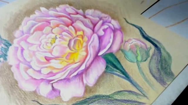 Обзор цветных карандашей COLOURSOFT смотреть онлайн