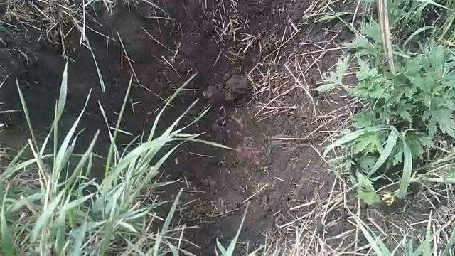 Метало коп с металлоискателем профессионал MD 5008 (Часть 18) смотреть онлайн