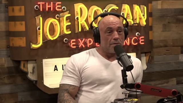 Joe Rogan Roasts Brendan Schaub Over Comeback Fight смотреть онлайн
