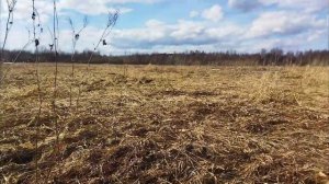 КОП С ЭКВИНОКС 600 И ПРИКЛЮЧЕНИЯМИ КОП ПО СТАРИНЕ 2023