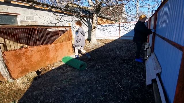 55 ? Переезд из города в деревню / Побег из вольера / Нужна мужская помощь / Марафет в курятнике смотреть онлайн
