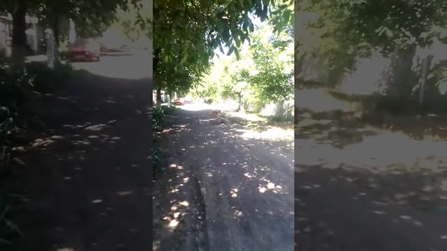 прикол упал на велосипеде смотреть онлайн