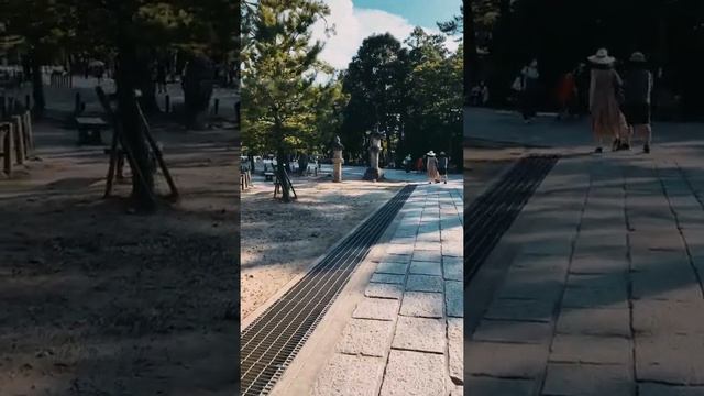 Экскурсии по Японии: Нара смотреть онлайн