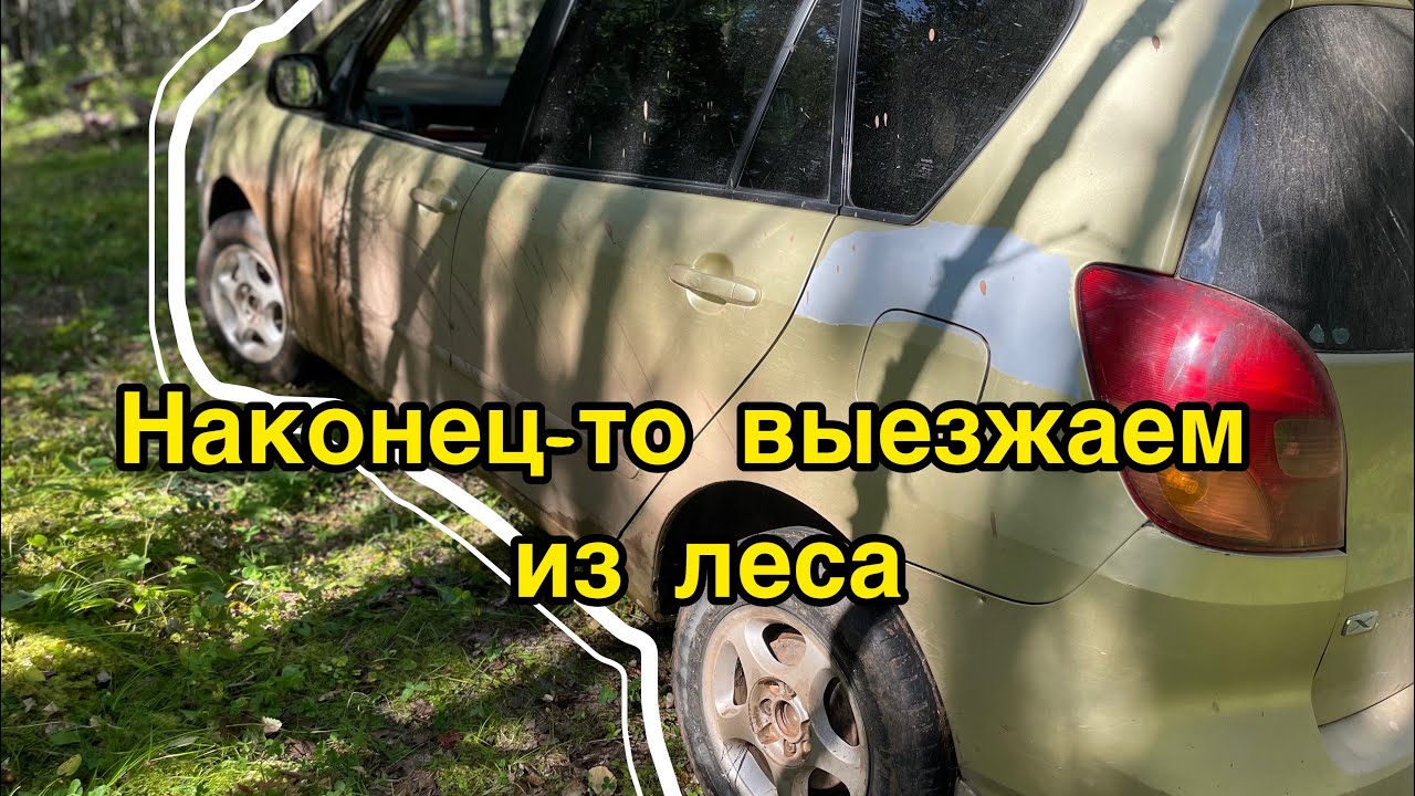 Наконец-то выезжаем из леса #car #offroad #toyota