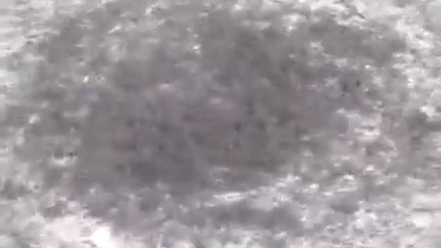 Зикр Муравьи смотреть онлайн