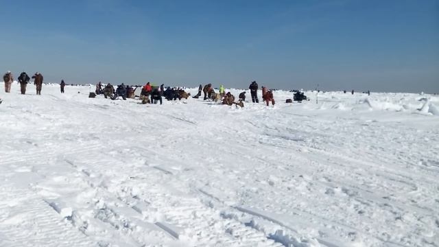 Сахалин. Зимняя рыбалка 22 марта 65 км смотреть онлайн