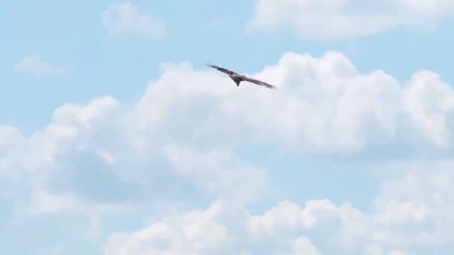 К Дню работников сельского хозяйства