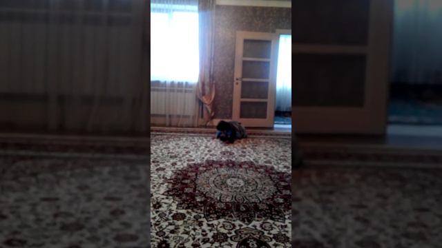 Канал Ихлас смотреть онлайн