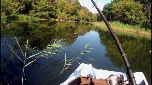 Рыбалка на Хопре 15.07.2022 года