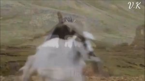 Дейнерис и драконы (клип)