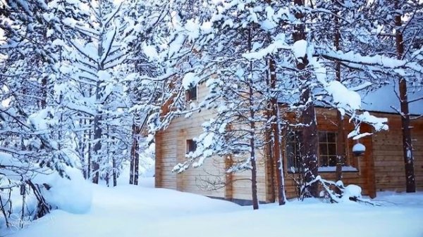 ❄ Beautiful Winter Snow Scene Relaxing Piano Music - Soothing Calming Sleep Meditation Study Music