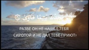 Красивое чтение Корана. Махди аш-Шишани. Сура 93 «Ад-Духа»