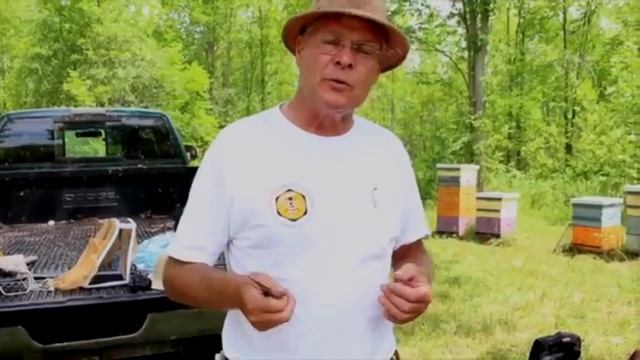 Как выводят маток породы "Бакфаст" на острове Тори (Онтарио, Канада) смотреть онлайн