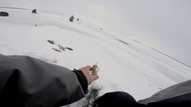 Зимняя рыбалка на Волге. Ловля окуня на балансир смотреть онлайн