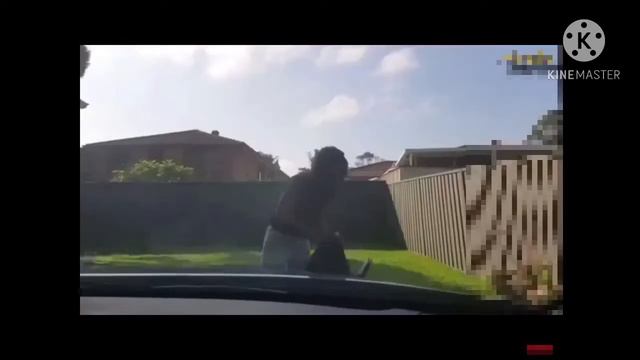 Смешные моменты Испуги люди 2020 Top funniest videos ever 2020 смотреть онлайн