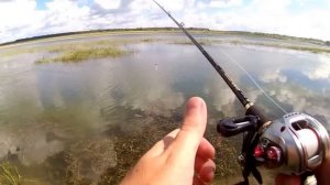 Учусь ловить на кастинговую снасть. Over Seven + Zillion.