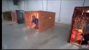 Мы не крысы мы друзья!!! (Фонатка    А4)