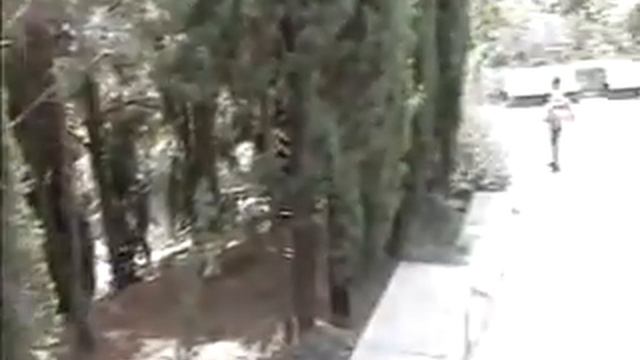 Bona sera 2 смотреть онлайн