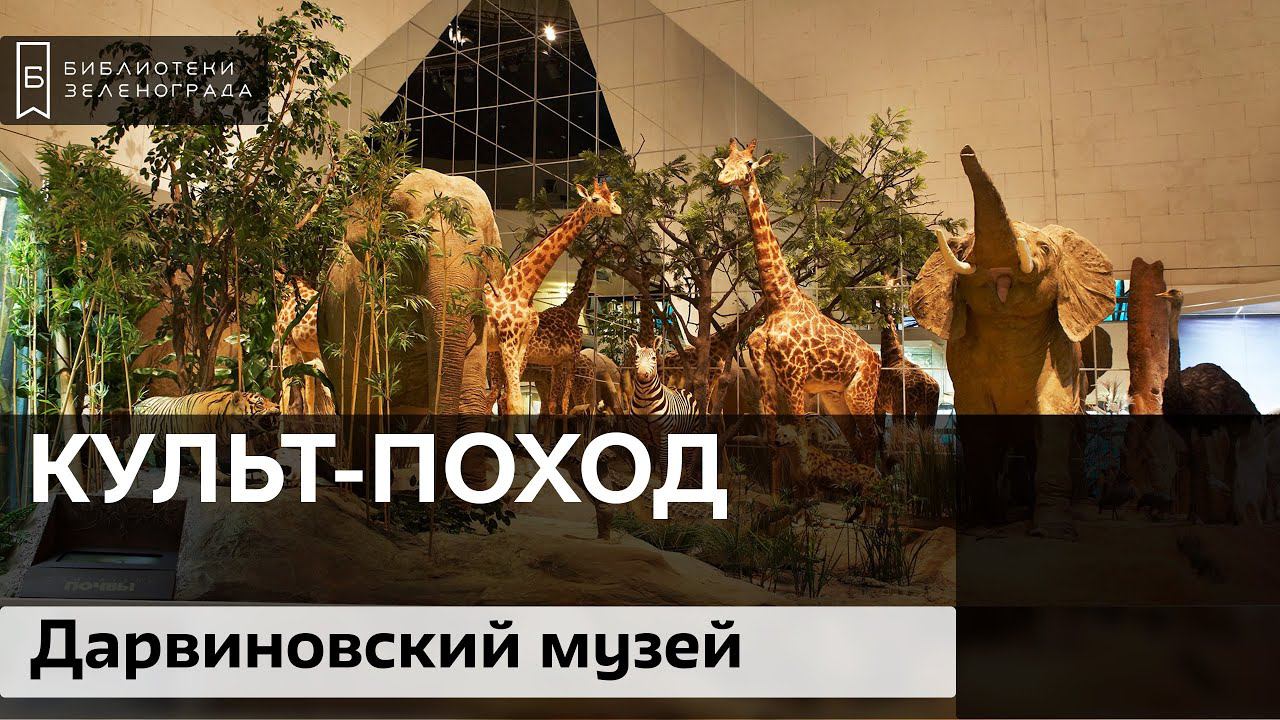 Культ-поход в Дарвиновский музей смотреть онлайн