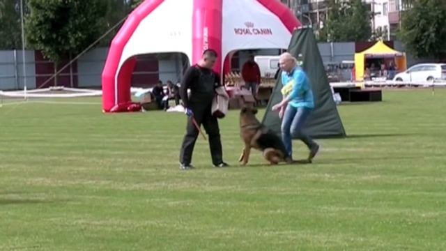 Britanya смотреть онлайн