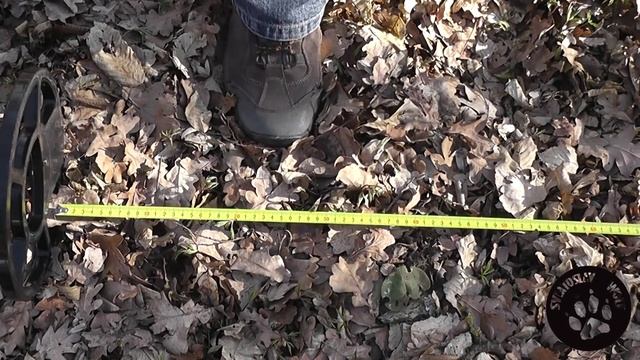 Металлоискатель Терминатор 3 ТЕСТ