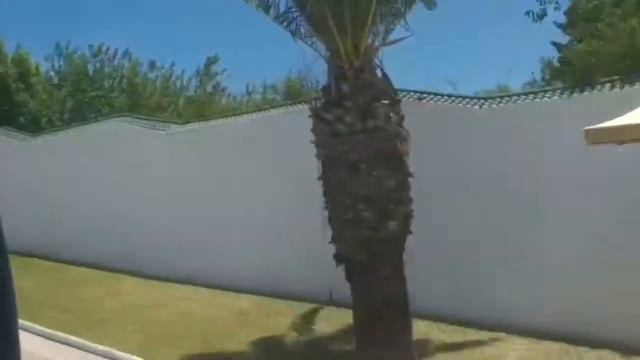VLOG/Sidi Bou Said/ Бело-голубой город/экскурсия по трём Тунисским городам/Тунис Африка/столица смотреть онлайн