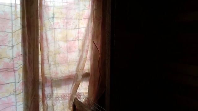 Как погода влияет на яйценоскость кур несушек? смотреть онлайн