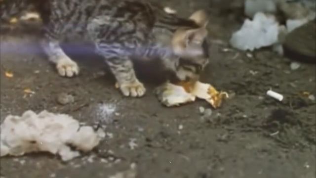 Я ОБЯЗАТЕЛЬНО ВЫЖИВУ.ДО СЛЁЗ смотреть онлайн