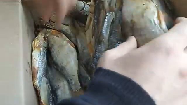 Вобла Астраханская в Саранске (обзор клиента) смотреть онлайн