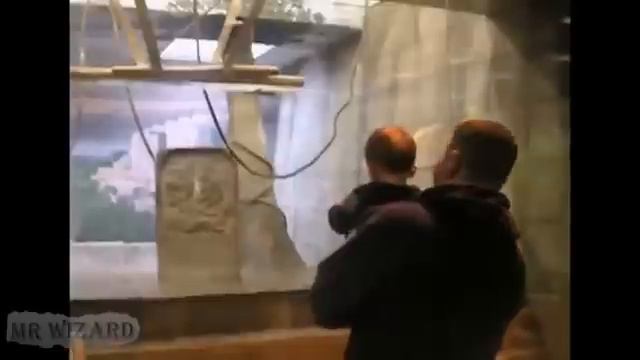 Смешные дети. Приколы в Зоопарке смотреть онлайн