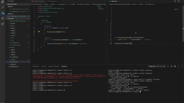 Learn Programming Fundamentals - How To Declare And Use C# Methods And Python Functions? смотреть онлайн