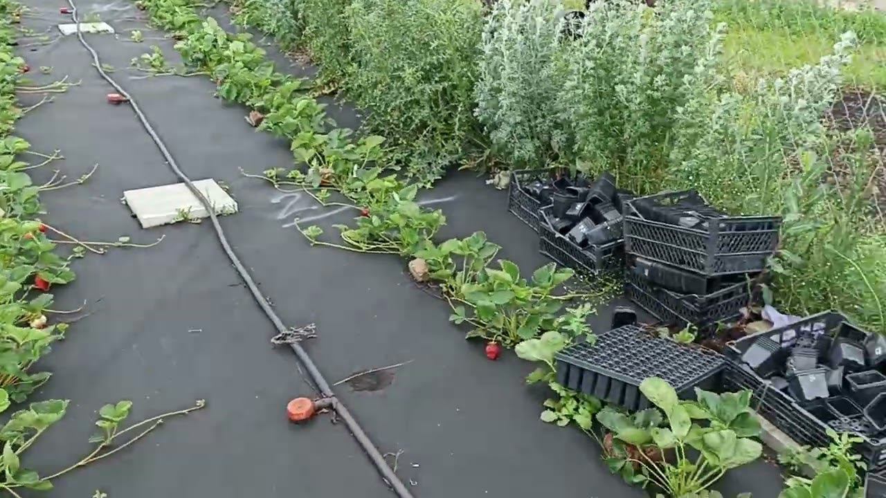 6 дней не перестают дожди. смотреть онлайн