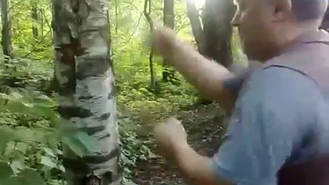 набивка ударных поверхностей в крэв кэмпо смотреть онлайн