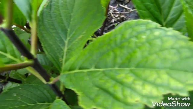 26 июля 2020 г. смотреть онлайн