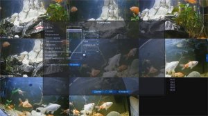 Большое обновление прошивки видеорегистратов "XMEye"