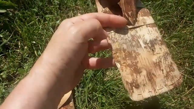 Что можно сделать из бересты? June 16, 2020 смотреть онлайн