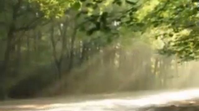 Иван Шмелёв У дороги чибис смотреть онлайн