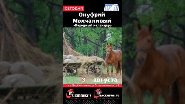 Сегодня,3 августа, в этот день отмечают праздник, Онуфрий Молчаливый смотреть онлайн