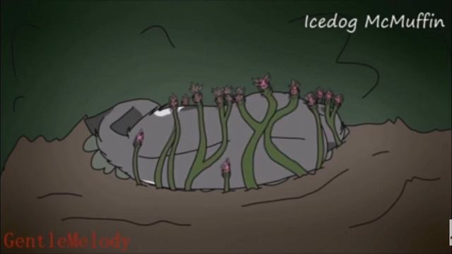 Да какая разница какой самое главное что тебе подсказывает смотреть онлайн